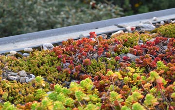 the cost of Duton Hill green roof installation