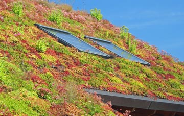Duton Hill living roof systems